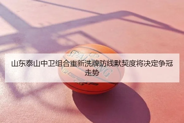 山东泰山中卫组合重新洗牌防线默契度将决定争冠走势