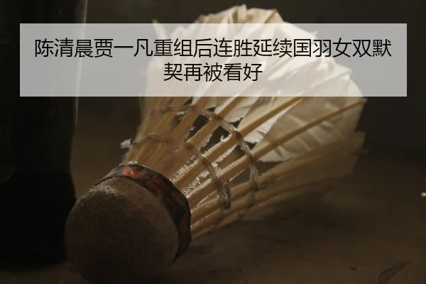 陈清晨贾一凡重组后连胜延续国羽女双默契再被看好